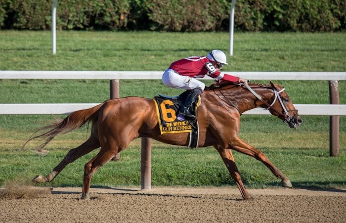 Horse racing